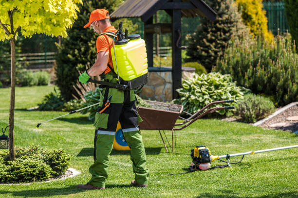 Best Lawn Pest Control  in Ranlo, NC